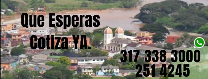 trasteos bajo cauca