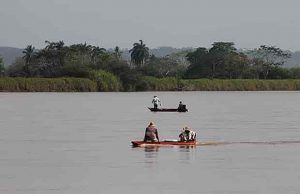 mudanzas bajo cauca